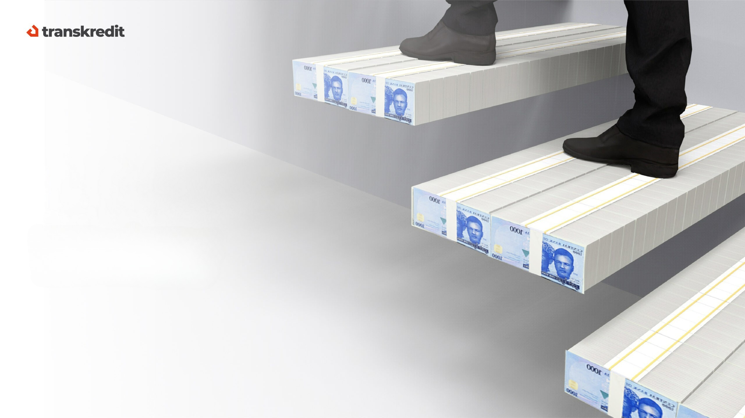 Transvest: Empowering Your Financial Journey 